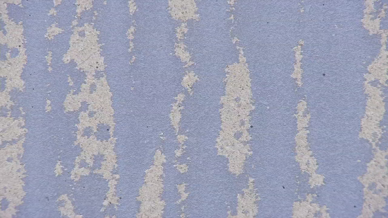 Purple paint vandalism at Churchill Downs-2 5-9-19